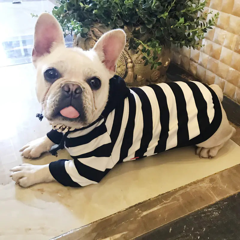 Striped Hooded Pet Clothes for Small Dogs and Cats