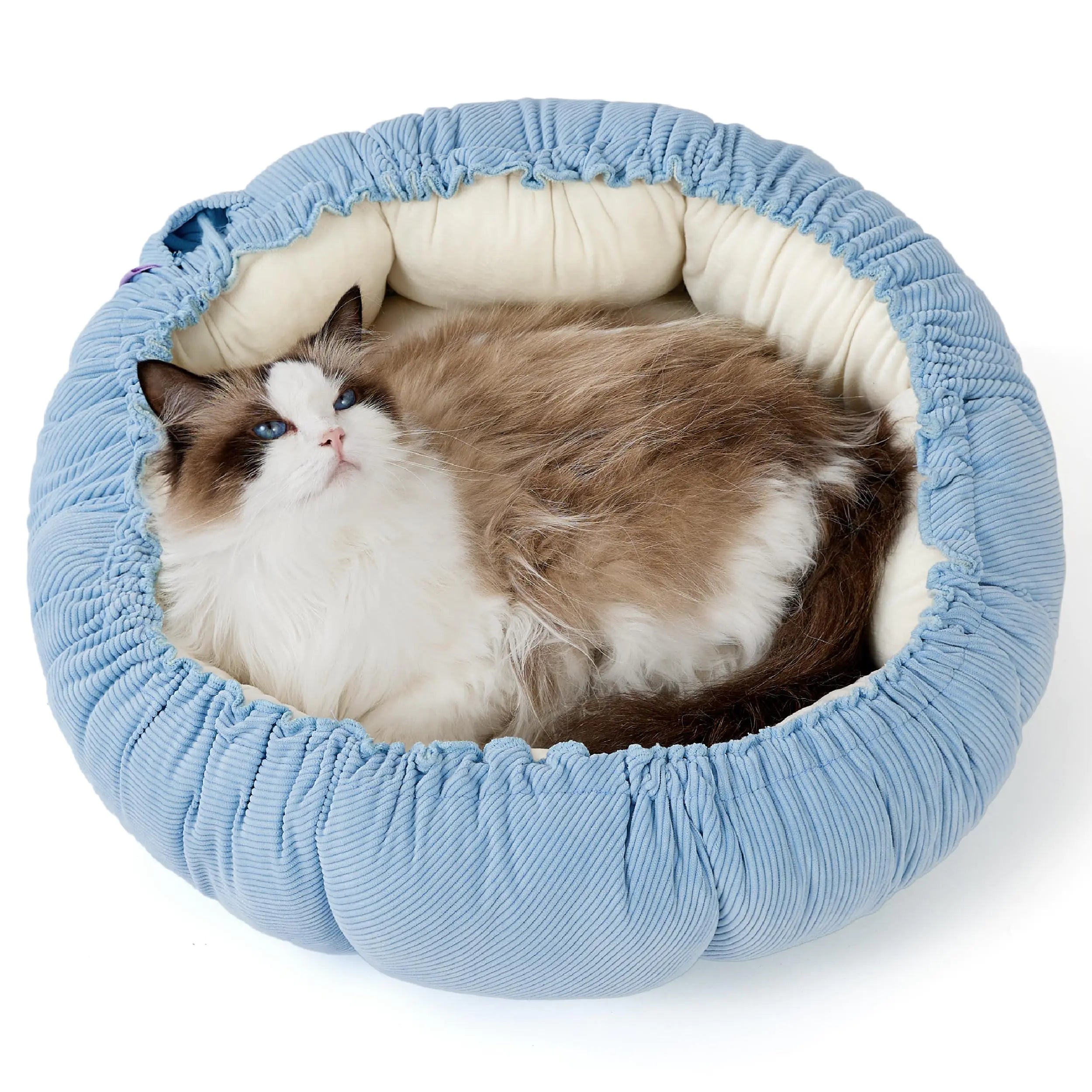 Reversible Donut Cat Bed