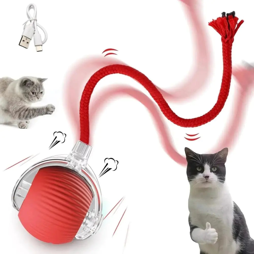 Motion Activated Rolling Pet Toy Ball