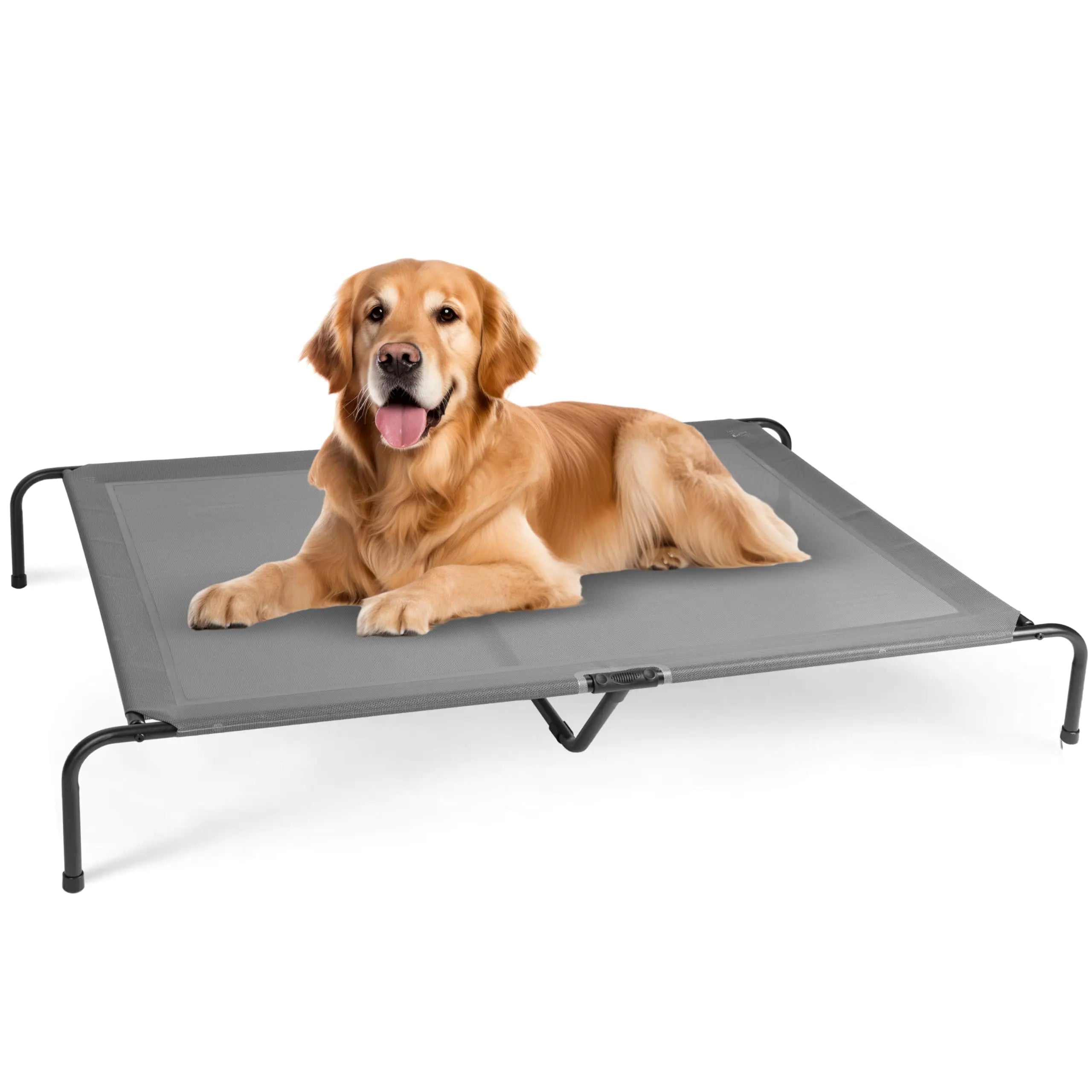Cooling Elevated Dog Cot Bed