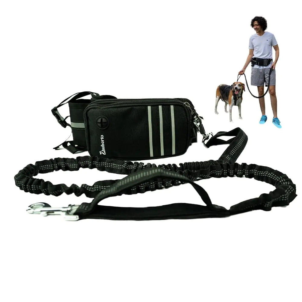 Hands-Free Waist Dog Leash