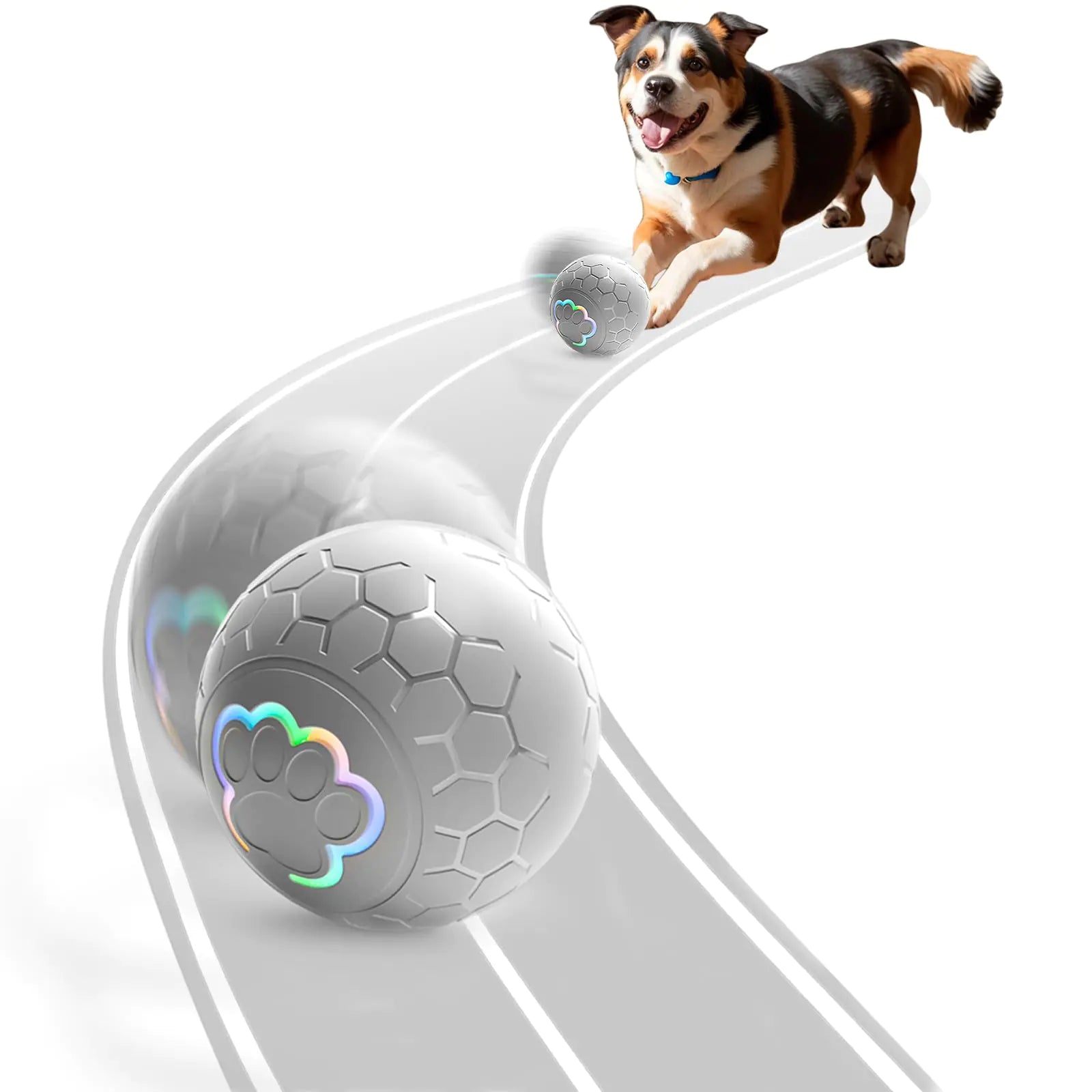 Interactive Auto Rolling Dog Toy Ball
