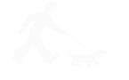 Paws Pavement